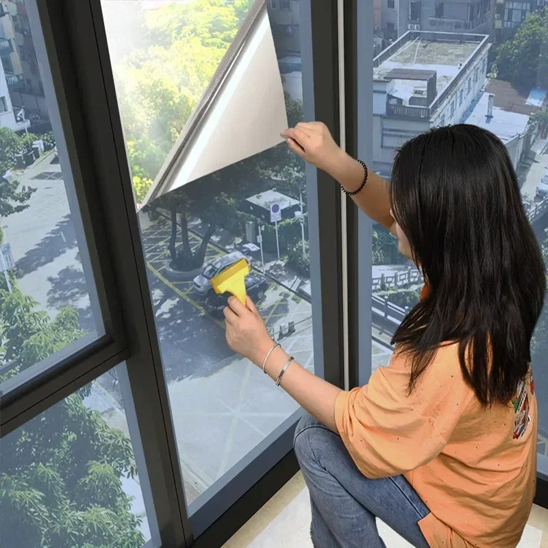 House Window Privacy Film Adhe - огляд і ціна Privacy Screen Protector